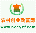 河南省汝州盛延召养殖水蛭年入300万元