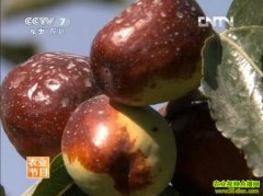 �������Ĺ��ܴ���(20121030)