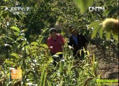 �����µ��������(20121029)