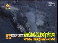 �¸����»᣺һ��Ҫ����80��