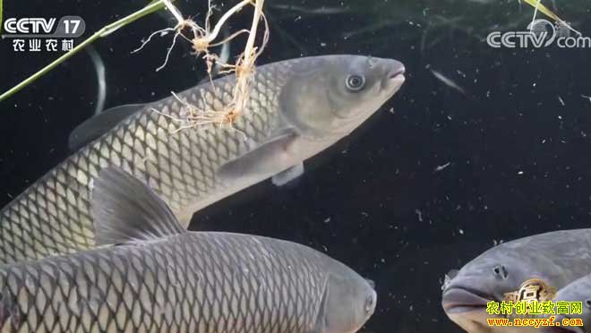 [�¸���]�������������������