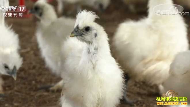 [�¸���]����̩������տ��ֳ̩���ڼ���������