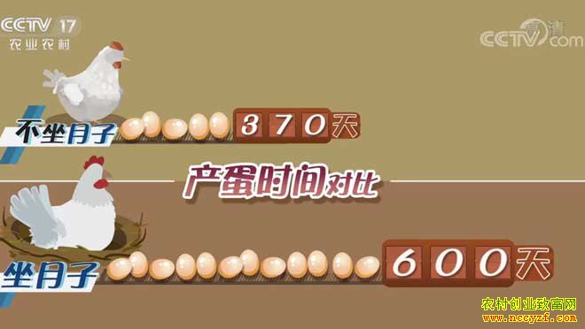 [�¸���]���Ż����������������