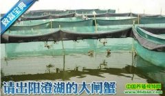 [�Ƽ�Է��з]������κ��Ĵ�բз