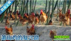 ��ɽ���ĸ���·(20120315)