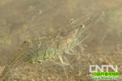 �޹�����ˮϺ��׼����������(20120319)