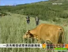 һ��ʧ�ܳ��Դ��������̻�