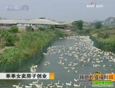 �Թ�Ů�����Ӵ�ҵ