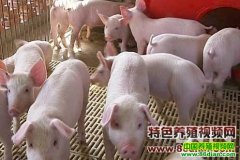 ������ѡ�о���