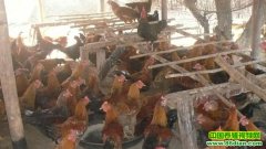 ���ز����� ������׬Ǯ