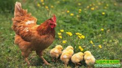 ���ռ�������˾��