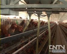 �����Զ�ι�ϻ���ʹ����ά��(20110727)