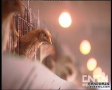 ��������ѧ������գ�20110914��