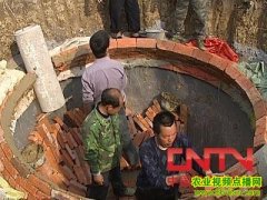 ǿ�����������޽�����(2010.7.1)