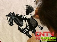 ���������������Ƶ(2010.7.2)