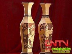 ������̼�����Ƶ(2010.7.2)