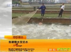 ������ˮ���ˮ(2010.12.6)