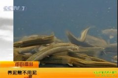 [�Ƽ�Է������]��ˮ��������������