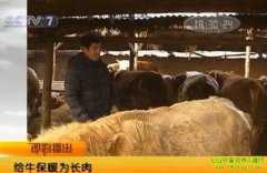 ��ţ��ůΪ����(2010.12.9)