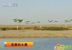 ���ҵĴ���(2010.12.10)