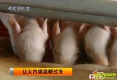 �ô������ů����(2010.12.13)