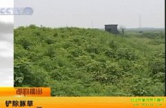 �������(2010.12.14)