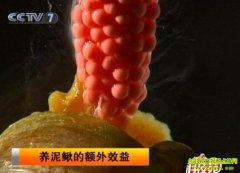 [�Ƽ�Է������]�軪͢�������Ķ���Ч��