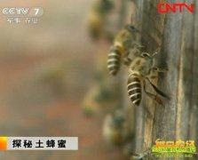 ̽��������(20111205)