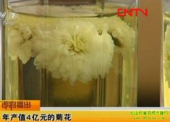 ���ֵ4��Ԫ�ľջ�(20111221)