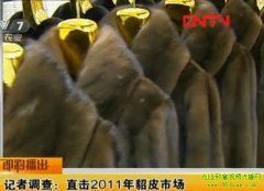 ֱ��2011����Ƥ�г�(20111222)