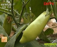 ɳĮ�������ֳ�������(20111227)