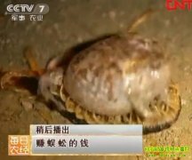 ׬����Ǯ(20120109)