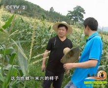 �ر����������(20120724)