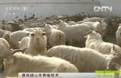 �����ɽ����ֳ����(20121029)