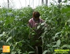 Խ�������������ڹ���(20121024)