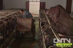 [ũ���������]�ջ�����ֳ������Ƶ