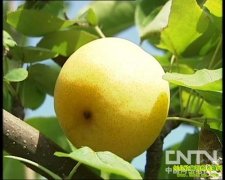 �������Ʒ�֣�20110629��