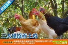 �������������(20120119)