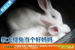 �̴�ĸ�õ���������(20120215)