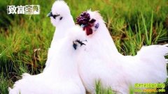 �ڼ�����Ʒ��:�ڷ��ڼ�-ҩ���ڼ���Ʒ