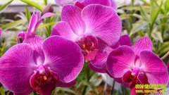 ��������ʩ���༼��(20121105)