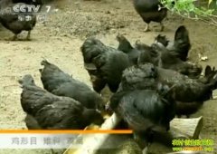 �ڼ�����Ʒ���ƽ�:�����ڼ�-Խ��ԽֵǮ