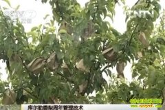 ��������������������(201201106)