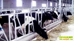 ��ţ�������ܴ�������(20121107)