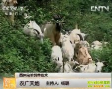 ����������������(20121111)