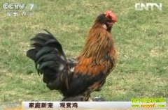 ��ͥ�³� ���ͼ�(20121112)