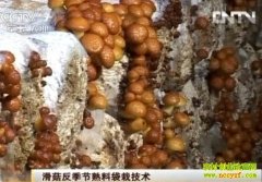 �������������ϴ��Լ���(20121112)