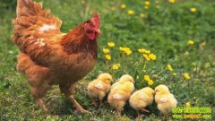 �ؼ�С�����Ҹ����20121113��