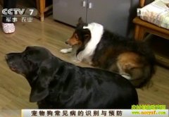 [ũ�����]���ﹷ��������ʶ����Ԥ��