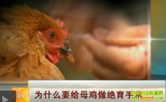 ΪʲôҪ��ĸ������������(20121120)